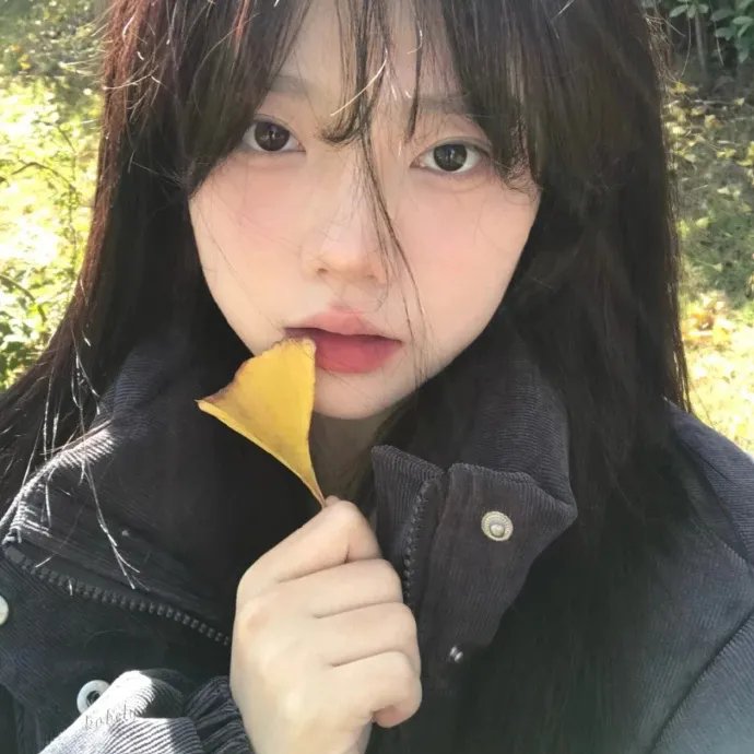 谍网纵横