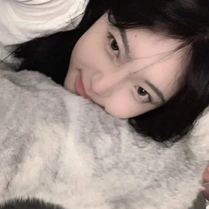 好莱坞以北